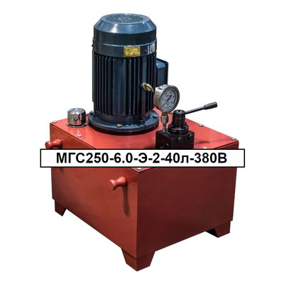 Маслостанция Инстан МГС700-1.0П-Э-2ГГ-А (220В, автоматическая, с пультом и сдвоенным рукавом 6м) - изображение 6